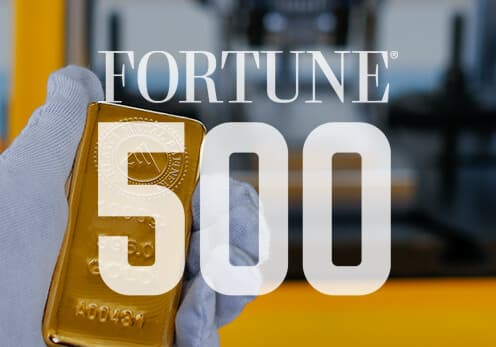 Fortune 500 Success